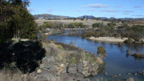 Pine Island To Point Hut Reserve - Tourism Canberra 1