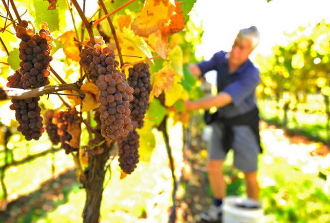 Windermere TAS Tourism Canberra