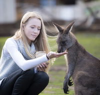 Bonorong Wildlife Sanctuary - Tourism Canberra