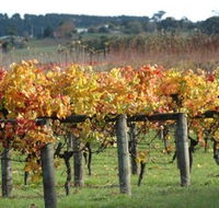 Apsley Gorge Vineyard - Tourism Canberra