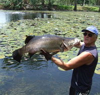 Barra Feeding - Tourism Canberra