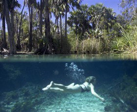 Bitter Springs - Tourism Canberra 0