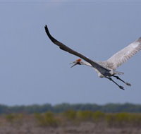 Gayngaru Wetlands Interpretive Walk - Tourism Canberra