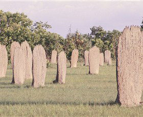Magnetic Termite Mounds - Tourism Canberra 0