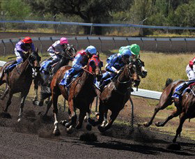 Larapinta NT Tourism Canberra