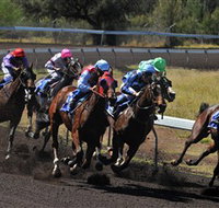 Alice Springs Turf Club - Tourism Canberra