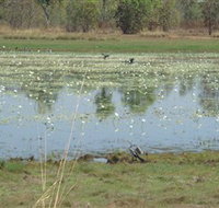 Leaning Tree Lagoon Nature Park - Tourism Canberra