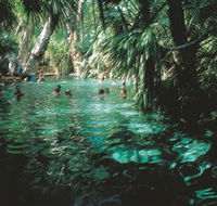 Mataranka Thermal Pool - Tourism Canberra