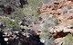 Serpentine Chalet Bush Camping Area - thumb 0