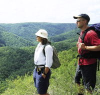Sunshine Coast Hinterland Great Walk - Tourism Canberra