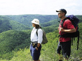 Sunshine Coast Hinterland Great! Walk - Tourism Canberra 0