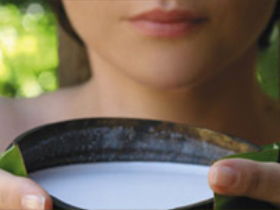 Ikatan Day Spa - Tourism Canberra 0