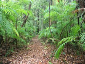 Mapleton QLD Tourism Canberra