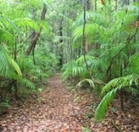 Delicia Road Conservation Park - Tourism Canberra