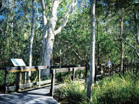 Noosa Heads QLD Tourism Canberra