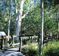 Kinaba Track - Tourism Canberra