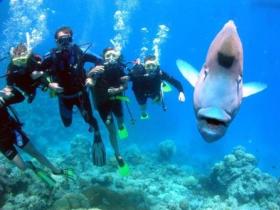 Magic Mountain Dive Site - Tourism Canberra 0