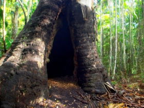 Tewantin National Park - Tourism Canberra 0