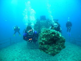 Pacific Paradise QLD Tourism Canberra