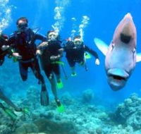 Jew Shoal Dive Site - Tourism Canberra
