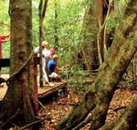 Mary Cairncross Scenic Reserve - Tourism Canberra
