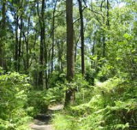 Mapleton Falls National Park - Tourism Canberra