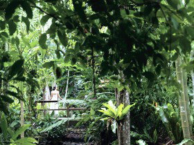 Flecker Botanic Gardens - Tourism Canberra 0