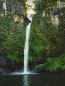 Nandroya Falls Circuit Track, Wooroonooran National Park - Tourism Canberra 0