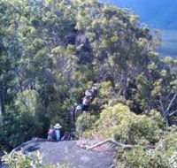 Mia Mia State Forest - Tourism Canberra