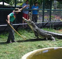 Snakes Downunder Reptile Park and Zoo - Tourism Canberra