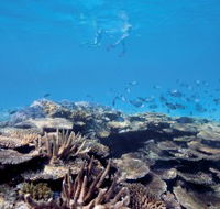 Australian Institute of Marine Science - Tourism Canberra
