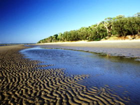 Burrum Coast National Park - Tourism Canberra 0