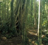 Mount Bithongabel - Tourism Canberra