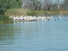  Tourism Canberra