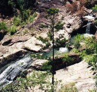 Banksia Track and the Boardwalk - Tourism Canberra