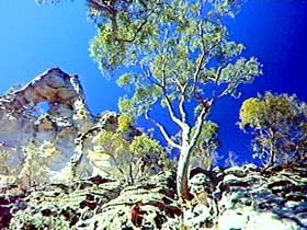 V Gate QLD Tourism Canberra