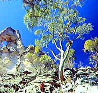 Mount Moffatt Section - Carnarvon National Park - Tourism Canberra