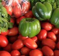 Burleigh Heads Markets - Tourism Canberra