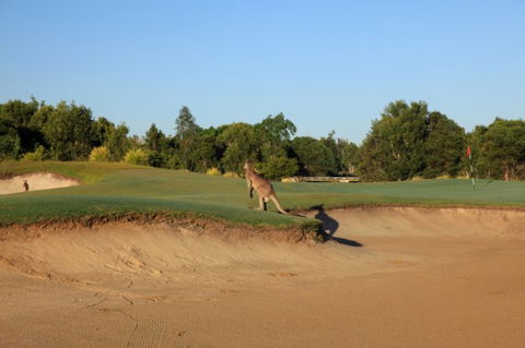Pelican Waters Golf Club - Tourism Canberra 6