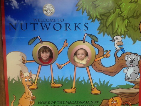 Nutworks - Tourism Canberra 4