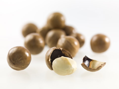 Nutworks - Tourism Canberra 5