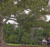 Ravensbourne National Park - Tourism Canberra