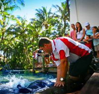 The Living Reef on Daydream Island - Tourism Canberra