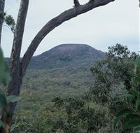 Mount Fox - Tourism Canberra