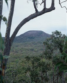 Mount Fox - Tourism Canberra 0