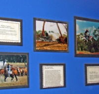 Town Hall Photographic Display - Tourism Canberra