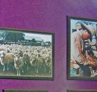Charleville Photographic Display - Tourism Canberra