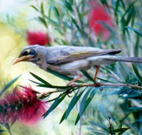 Windorah Nature Drive - Tourism Canberra
