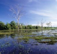 Tyto Wetlands - Tourism Canberra