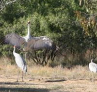 Bulloo River Walk - Tourism Canberra